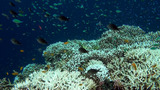 DSC01080