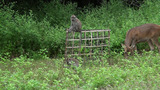DSC01066
