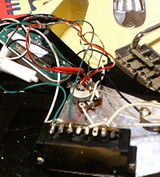P1000040.jpg