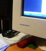 P1000040.jpg