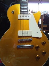 FGN