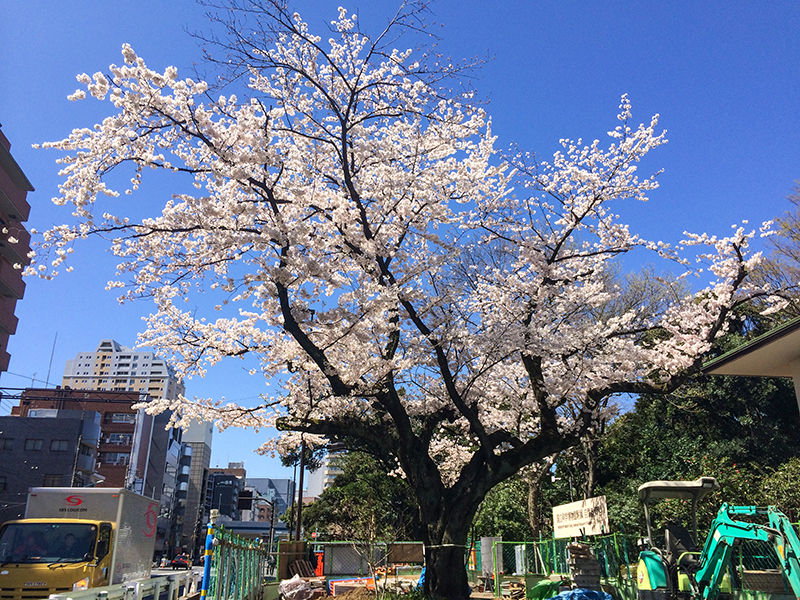 写真 1-3