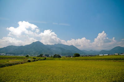20100827-_DSC7756