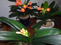DSC01327