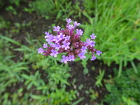DSC01035