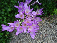 DSC01095