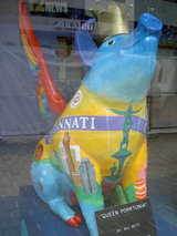cincinati pig
