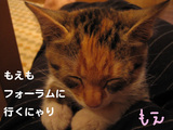 moesleep