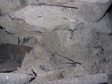 CIMG6486