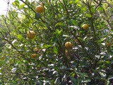 CIMG6579