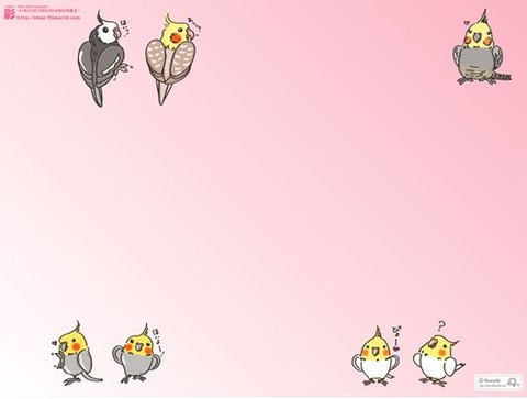 壁紙を頂きました オカメのアイテム