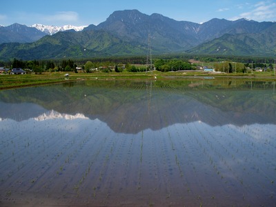 P5068968