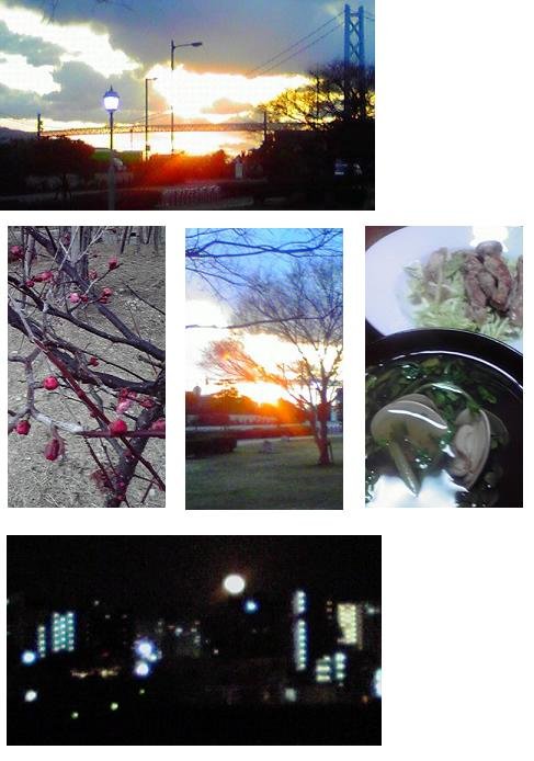 2012020817290001