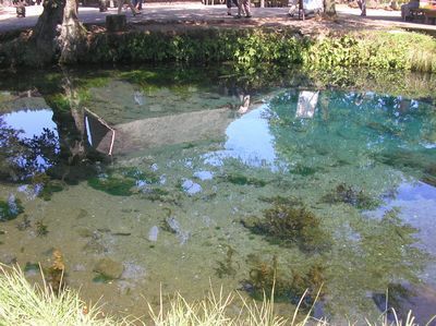 富士山忍野八海★湧水に癒される