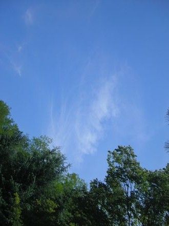 富士山忍野八海★湧水に癒される