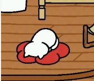 しろねこさんの寝方