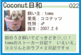 兎net