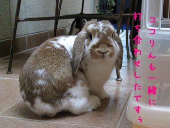 1打ち合わせ