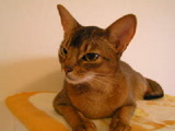 79541da9.jpg