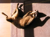 d0502490.jpg