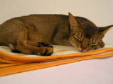 d518b07e.jpg