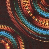 zaP2_G1533621W