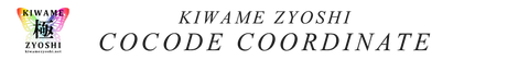 極COCODECODE