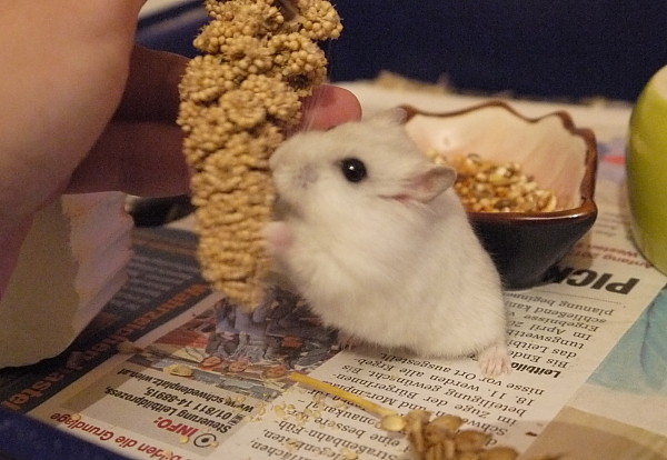 25 11
