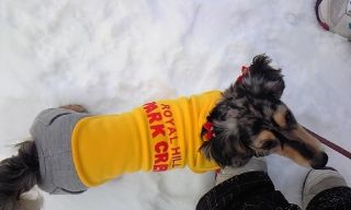s-MIEblog110322_1315~02