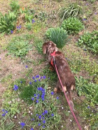 2016-04-13-13-32-53