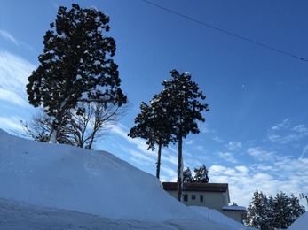 2015-01-14-08-00-57