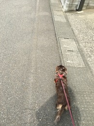 2016-04-13-13-31-12