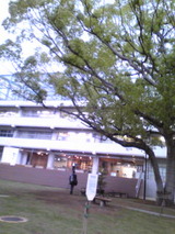 60b3854b.jpg