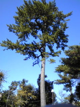 ec423953.jpg