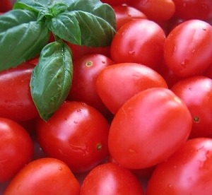 tomato
