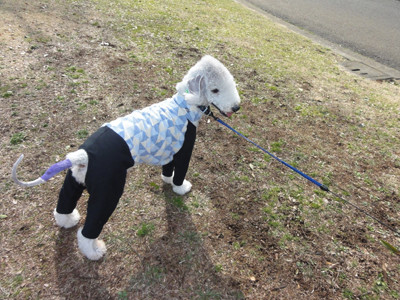 ピーチ笑ってる