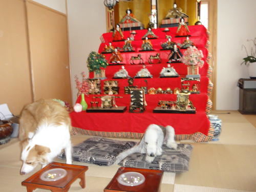 DSC02721-1
