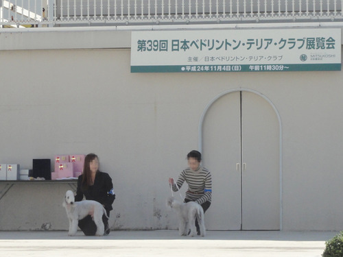 DSC04206-1'