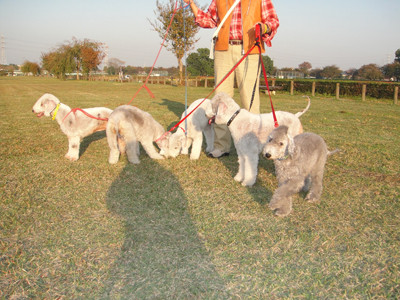 下奥富運動公園