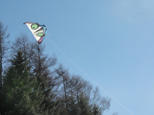 DSC04568-4''