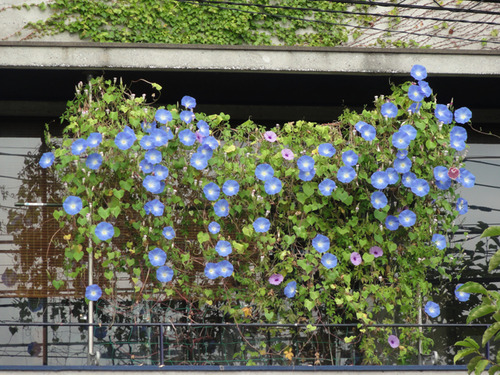 DSC04061-2