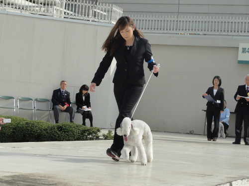 DSC06239