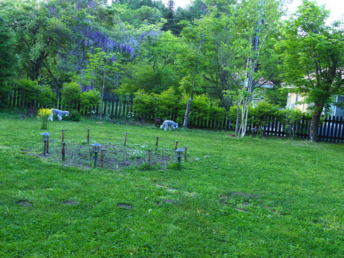 IMGP4712