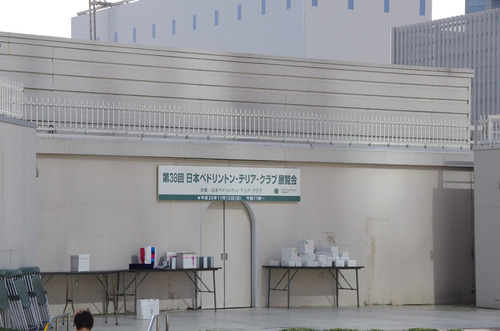 IMGP2956-展覧会