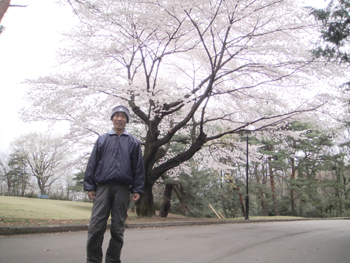 桜満開 名無しさん