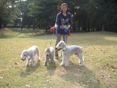 稲荷山公園−2