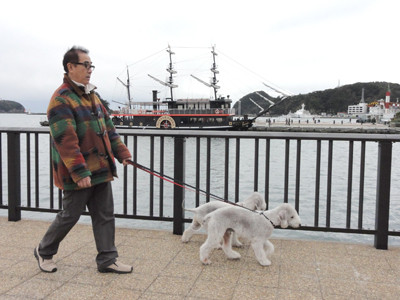 下田黒船観光船