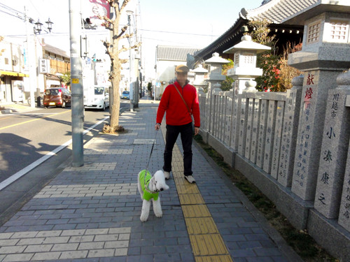 DSC02466-5