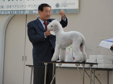 DSC02211-BOB