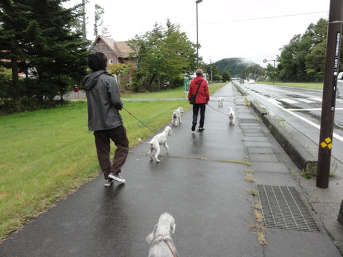 DSC04029-4